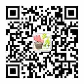 weinxin